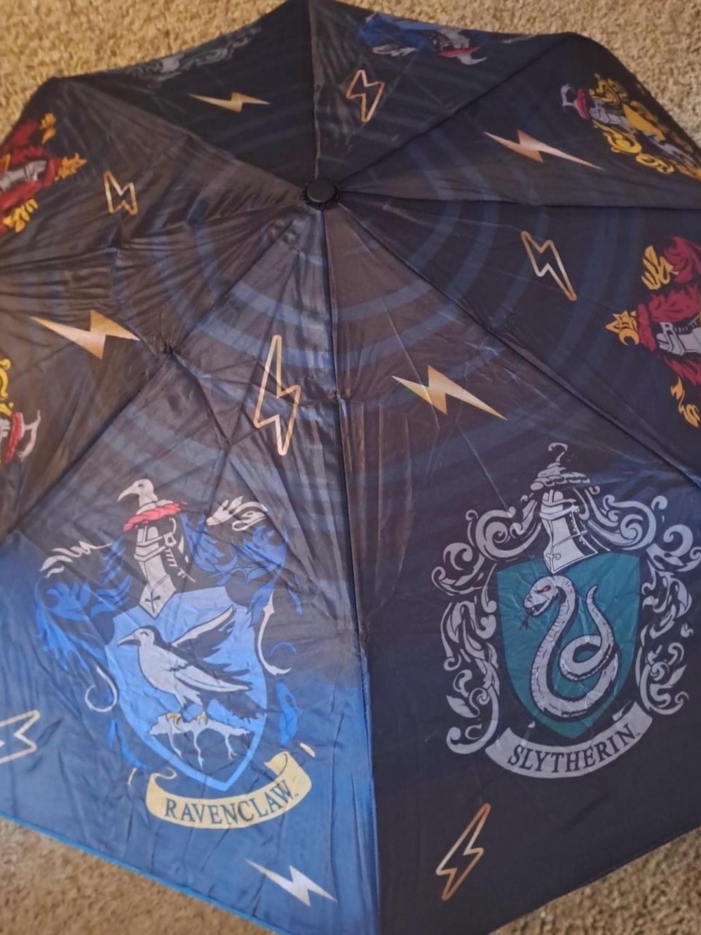 Warner Bros. Harry Potter Umbrella - Black, Blue, Green, Gold